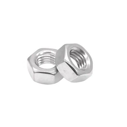 Stainless Steel Hex Nut